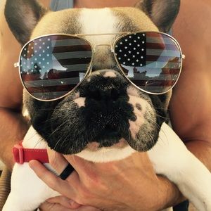 Meet your Posher, Casey